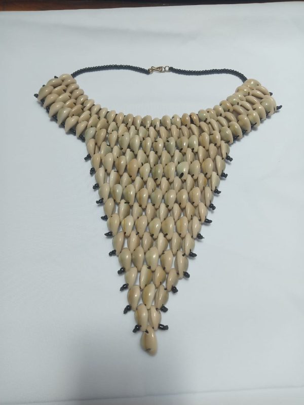 Cowrie Shell Neclace